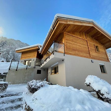 Chalet Le Point De Vue شامونكس المظهر الخارجي الصورة